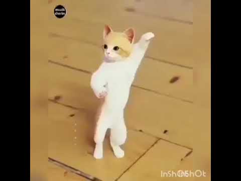 اجا العيد بدون إيقاع عصومي ووليد طيور الجنة