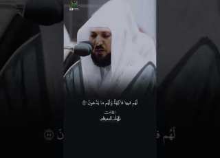 إ ن أ صحاب الج ن ة الي وم في ش غ ل فاك هون من سورة يس للشيخ ماهر المعيقلي