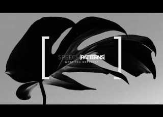  Speech Patterns Were You Nervous