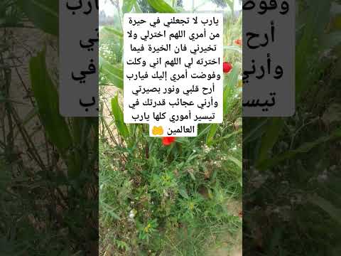 يارب اختر لي ولا تخيرني دعاء يهز القلب ويملأه يقين ا يارب اخترلي ولا تخيرني ردد هذا الدعاء