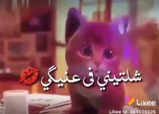  اول حياتي ياما
