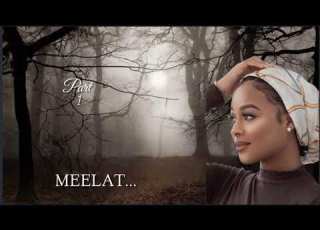 MEELAT Part 1