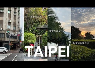 친구들과 함께한 타이베이 2박3일 Vlog 먹방여행 대만맛집 구글맵 공유