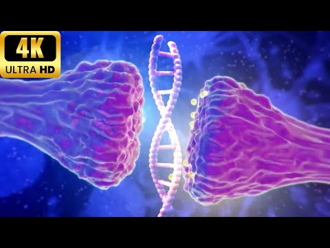 سبليمنال تجديد خلايا الشباب اصلاح الحمض النووي إذابة السموم في الجسم 528Hz سبليمنال تجديد خلايا الشباب اصلاح الحمض النووي إذابة السموم في الجسم 528Hz