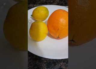  Orange And Lemon Juice Satisfying Drinks
