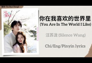 你在我喜欢的世界里 You Are In The World I Like 汪苏泷 Silence Wang 爱你 The Best Thing Chi Eng Pinyin Lyrics
