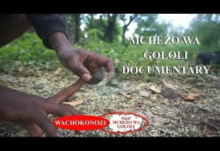 MCHEZO WA GOLOLI FULL DOCUMENTARY WACHOKONOZI NAUZAAKILI 