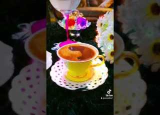 قهوة فيروز الصباح وسيم زادة