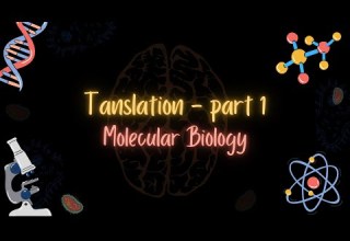 Translation PART 1 الترجمة الجزء الأول MOLECULAR BIOLOGY تعلم بالعربي