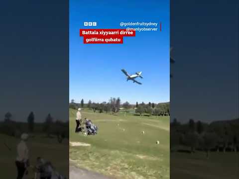 Battala Xiyyaarri Muddame Kufee Caccabu BBC News Afaan Oromoo