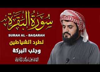 سورة البقرة اروع تلاوة القارئ رعد محمد الكردي لطرد الشياطين ت بطل العين واد والسحر