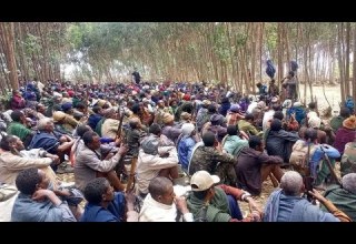 የአማራ ፋኖ ሽለላ እና ቀረርቶ 