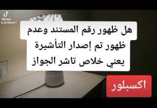 اخبار الجوازات هل ظهور رقم المستند وعدم ظهور تم إصدار التأشيرة يعني خلاص تاشر الجواز