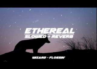 Wizard Flossin Slowed Reverb