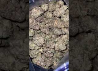 Ya Hemi Strain
