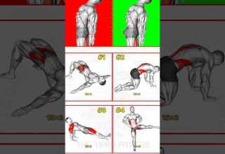 Kegel Exercises For Men Beginners Pelvic Floor Strengthening Guide Shortvideo Kegel Workout Kegel Exercises For Men Beginners Pelvic Floor Strengthening Guide Shortvideo Kegel Workout