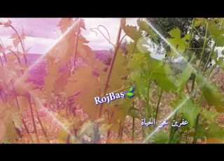 عدنان دلبرين موسيقى عفرين لحن الحياة