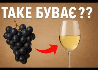 Біле вино з чорного вино яке ти точно не куштував