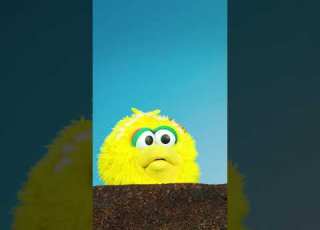  Early Baby Big Bird Gets The Worm Sesamestreet