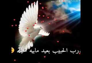 درب الحبيب بعيد مابية حيلة مهدي العبودي