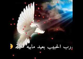 درب الحبيب بعيد مابية حيلة مهدي العبودي