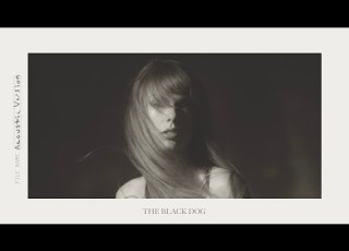 Taylor Swift The Black Dog Acoustic Version
