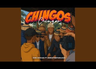Chingos Feat Hemustbefabulous