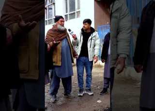 کم و زیاد شدن درختان زیارت دوازه امام Shorts