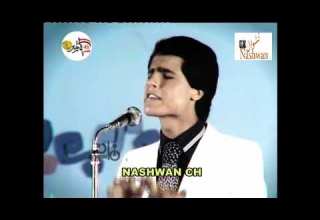 عماد عبد الحليم الضباب