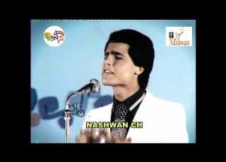 عماد عبد الحليم الضباب