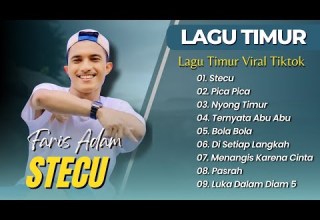 FARIS ADAM STECU JUAN REZA PICA PICA NYONG TIMUR LAGU POP TIMUR VIRAL TIKTOK 2025