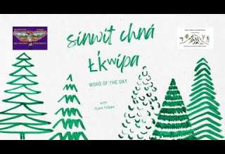 Yakama Ichishkiin Word Of The Day 12 31 2025