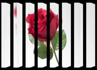 مانى عزابى كتبت كتابى بدون ايقاع انشود فرح اجمل ما تكون اناشيد اسلاميه