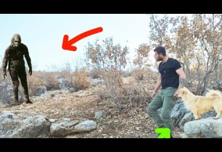 Mojod Marmoz Kuhostan Baghenar Taqib Shabaneh Mohsan Mard Eshayeri