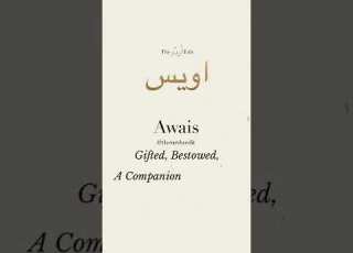 Awais Name Status With Best Tone
