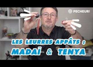 TENYA Et MADAÏ Les Indispensables Leurres Appâts Pour La Pêche En Mer