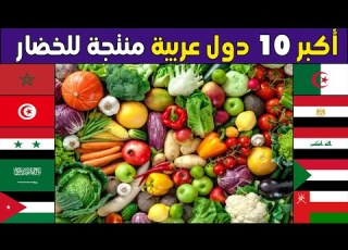 من هي اكبر دولة عربية في زراعة و انتاج الخضار تصنيف جديد لأكبر 10 محاصيل خضار عند الدول العربية2023