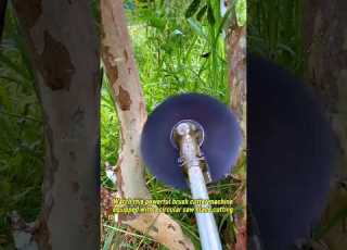  Extreme Brush Cutter With Circular Saw Blade Cutting Trees Like A Chainsaw