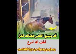 حين يطبق عليك الخطر يبعث الله من يفتديك بروحه لطف خفي ينجيك من مـوت محقق Tseries
