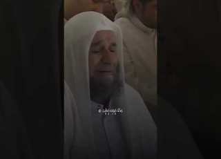 هيثم الدخين سورة المؤمنون