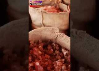 ماهو المن و السلوى المذكور في القرآن