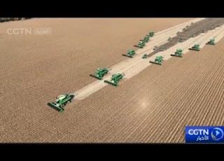 الصين تستكمل حصاد المحاصيل على مساحة 57 مليون هكتار من الأراضي