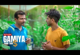 Gamiya Farm Tour Greenhouse Agriculture