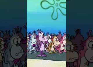 Sea Monkeys In SpongeBob SquarePants Seamonkeys Clips Spongebob Spongebobsquarepants