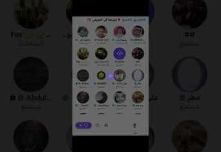 مساحة محمد ابو هدايه بنزيما في المرمى