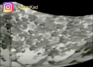  فيروز مضحك