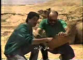 تقول اهواك سهير عودة