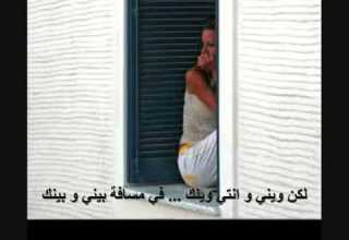 شباكك ع شباكي