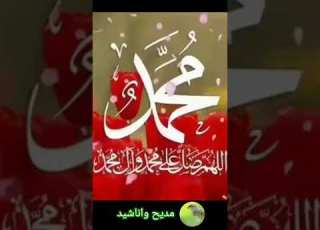 محمد يا محمد يا نبينا نورك نور كل المدينه