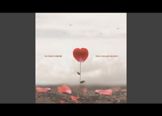 Small Fragile Hearts